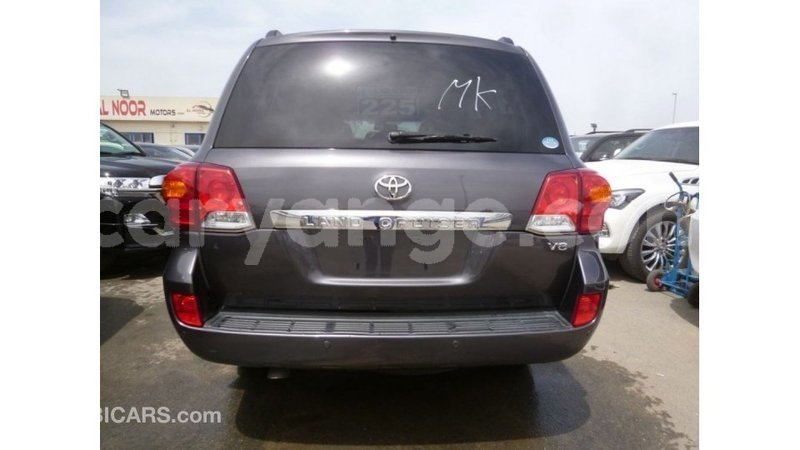 Big with watermark d7023618 a591 4279 8a9f e8277f5c6837