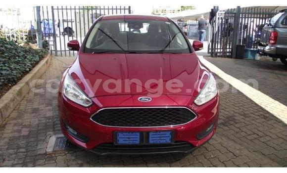 Acheter Occasion Voiture Ford Focus Autre à Karasburg, Karas Acheter Occasion Voiture Ford Focus Autre à Karasburg, Karas