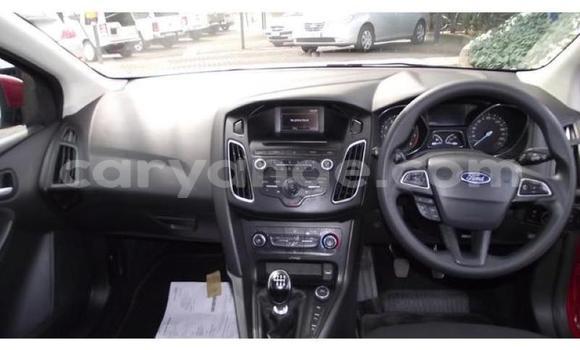 Acheter Occasion Voiture Ford Focus Autre à Karasburg, Karas Acheter Occasion Voiture Ford Focus Autre à Karasburg, Karas