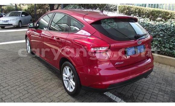 Acheter Occasion Voiture Ford Focus Autre à Karasburg, Karas Acheter Occasion Voiture Ford Focus Autre à Karasburg, Karas