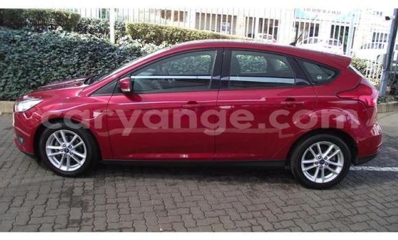 Acheter Occasion Voiture Ford Focus Autre à Karasburg, Karas Acheter Occasion Voiture Ford Focus Autre à Karasburg, Karas