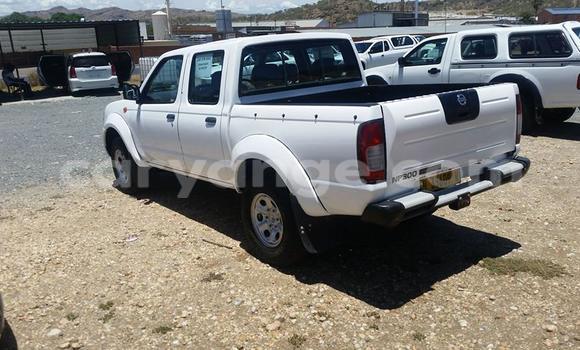 Buy Used Nissan Hardbody White Car in Windhoek in Namibia Buy Used Nissan Hardbody White Car in Windhoek in Namibia