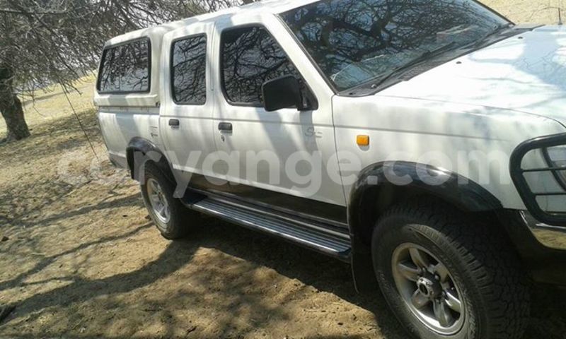 Big with watermark 15284065 1129442633839910 5230908860684797680 n