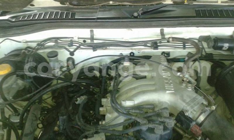 Big with watermark 15578737 1281570078576389 5086098407229006862 n