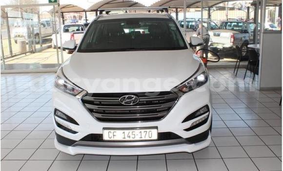 Buy Used Hyundai Tucson White Car in Windhoek in Namibia Buy Used Hyundai Tucson White Car in Windhoek in Namibia