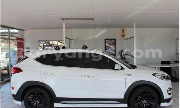 Buy Used Hyundai Tucson White Car in Windhoek in Namibia Buy Used Hyundai Tucson White Car in Windhoek in Namibia