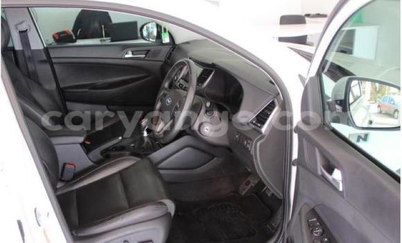 Buy Used Hyundai Tucson White Car in Windhoek in Namibia Buy Used Hyundai Tucson White Car in Windhoek in Namibia