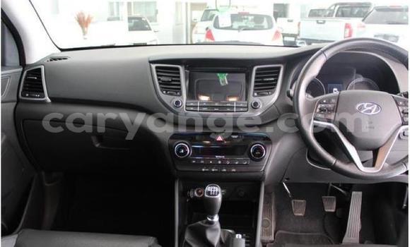 Buy Used Hyundai Tucson White Car in Windhoek in Namibia Buy Used Hyundai Tucson White Car in Windhoek in Namibia
