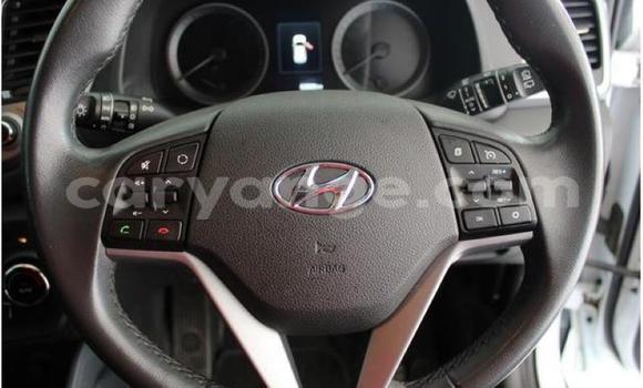 Buy Used Hyundai Tucson White Car in Windhoek in Namibia Buy Used Hyundai Tucson White Car in Windhoek in Namibia