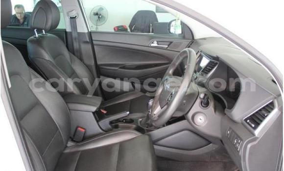 Buy Used Hyundai Tucson White Car in Windhoek in Namibia Buy Used Hyundai Tucson White Car in Windhoek in Namibia