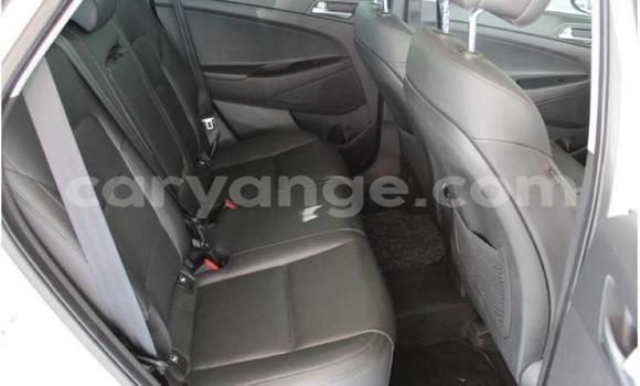 Buy Used Hyundai Tucson White Car in Windhoek in Namibia Buy Used Hyundai Tucson White Car in Windhoek in Namibia