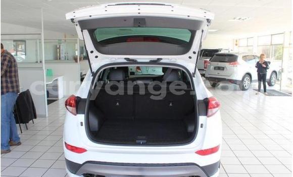 Buy Used Hyundai Tucson White Car in Windhoek in Namibia Buy Used Hyundai Tucson White Car in Windhoek in Namibia