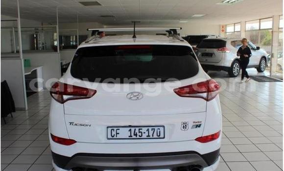 Buy Used Hyundai Tucson White Car in Windhoek in Namibia Buy Used Hyundai Tucson White Car in Windhoek in Namibia