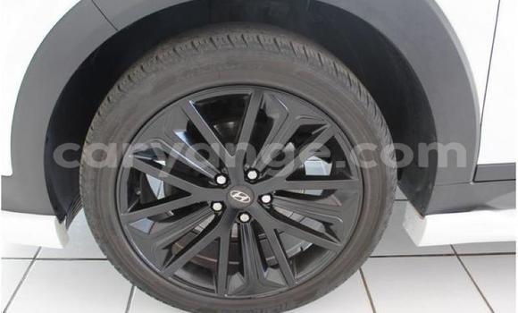 Buy Used Hyundai Tucson White Car in Windhoek in Namibia Buy Used Hyundai Tucson White Car in Windhoek in Namibia