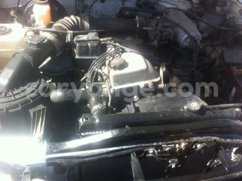 Big with watermark 15590123 1873629849587474 5620022596992670559 n