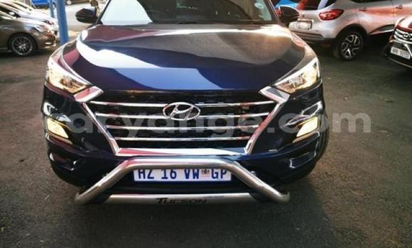 Buy Used Hyundai Tucson Blue Car in Karasburg in Karas Buy Used Hyundai Tucson Blue Car in Karasburg in Karas