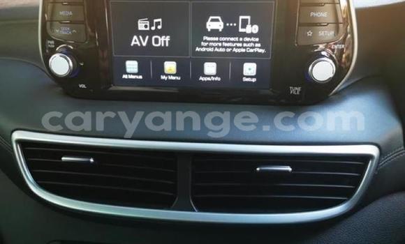 Buy Used Hyundai Tucson Blue Car in Karasburg in Karas Buy Used Hyundai Tucson Blue Car in Karasburg in Karas