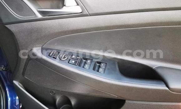 Buy Used Hyundai Tucson Blue Car in Karasburg in Karas Buy Used Hyundai Tucson Blue Car in Karasburg in Karas