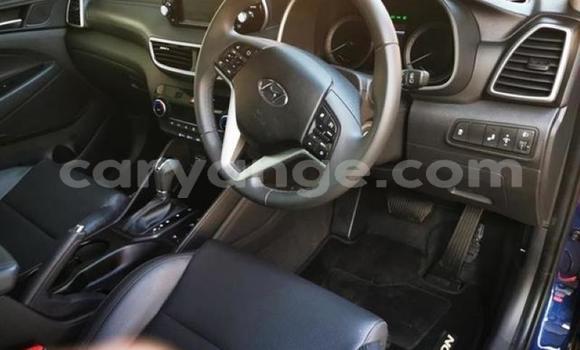 Buy Used Hyundai Tucson Blue Car in Karasburg in Karas Buy Used Hyundai Tucson Blue Car in Karasburg in Karas