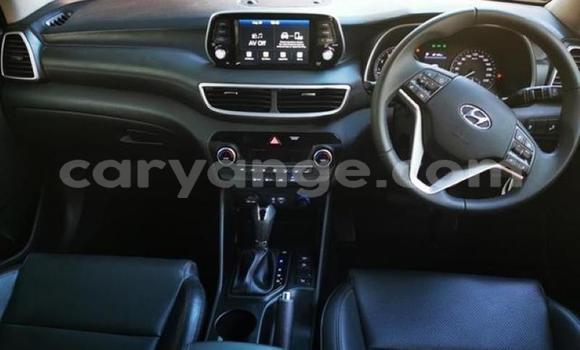 Buy Used Hyundai Tucson Blue Car in Karasburg in Karas Buy Used Hyundai Tucson Blue Car in Karasburg in Karas