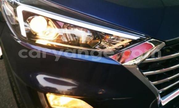 Buy Used Hyundai Tucson Blue Car in Karasburg in Karas Buy Used Hyundai Tucson Blue Car in Karasburg in Karas