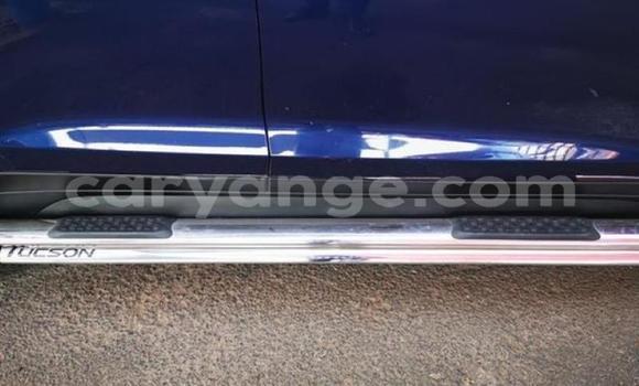 Buy Used Hyundai Tucson Blue Car in Karasburg in Karas Buy Used Hyundai Tucson Blue Car in Karasburg in Karas