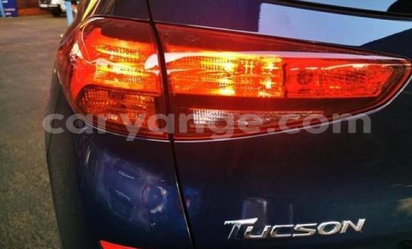 Buy Used Hyundai Tucson Blue Car in Karasburg in Karas Buy Used Hyundai Tucson Blue Car in Karasburg in Karas