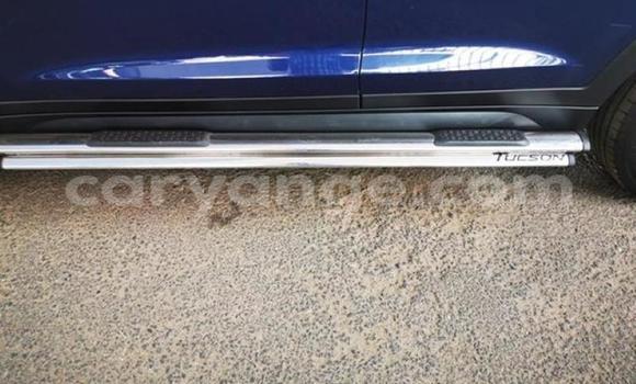 Buy Used Hyundai Tucson Blue Car in Karasburg in Karas Buy Used Hyundai Tucson Blue Car in Karasburg in Karas