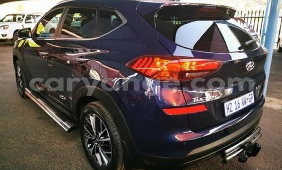 Buy Used Hyundai Tucson Blue Car in Karasburg in Karas Buy Used Hyundai Tucson Blue Car in Karasburg in Karas