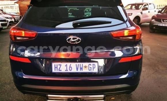 Buy Used Hyundai Tucson Blue Car in Karasburg in Karas Buy Used Hyundai Tucson Blue Car in Karasburg in Karas
