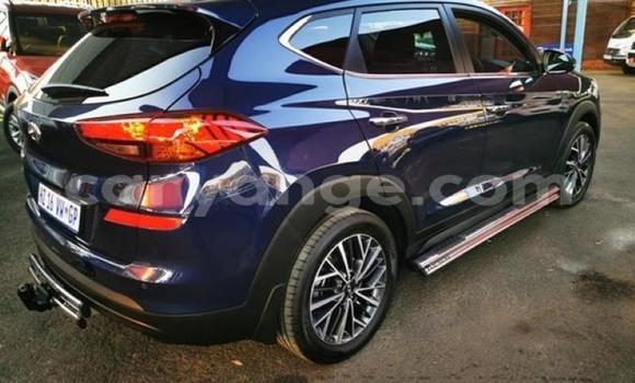 Buy Used Hyundai Tucson Blue Car in Karasburg in Karas Buy Used Hyundai Tucson Blue Car in Karasburg in Karas