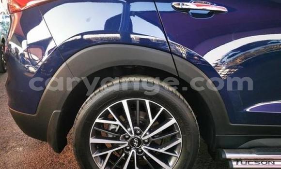 Buy Used Hyundai Tucson Blue Car in Karasburg in Karas Buy Used Hyundai Tucson Blue Car in Karasburg in Karas