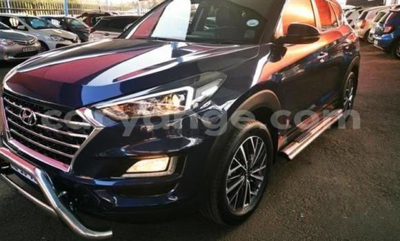 Buy Used Hyundai Tucson Blue Car in Karasburg in Karas Buy Used Hyundai Tucson Blue Car in Karasburg in Karas