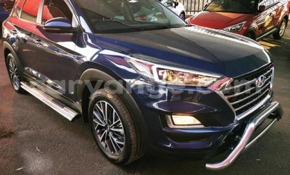 Buy Used Hyundai Tucson Blue Car in Karasburg in Karas Buy Used Hyundai Tucson Blue Car in Karasburg in Karas