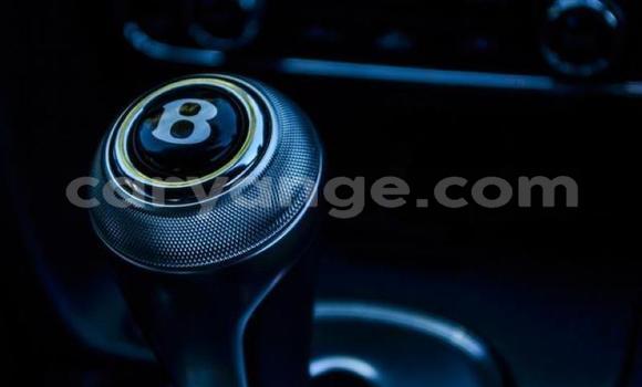 Buy Used Bentley Continental GT White Car in Windhoek in Namibia Buy Used Bentley Continental GT White Car in Windhoek in Namibia