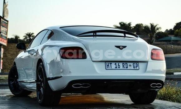 Buy Used Bentley Continental GT White Car in Windhoek in Namibia Buy Used Bentley Continental GT White Car in Windhoek in Namibia
