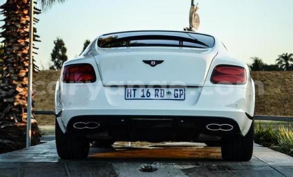 Buy Used Bentley Continental GT White Car in Windhoek in Namibia Buy Used Bentley Continental GT White Car in Windhoek in Namibia