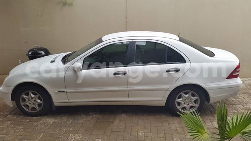 Big with watermark 15284065 1129442633839910 5230908860684797680 n