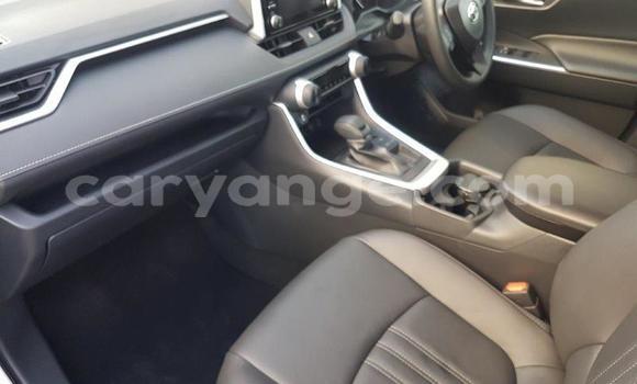 Buy Used Toyota RAV4 Other Car in Windhoek in Namibia Buy Used Toyota RAV4 Other Car in Windhoek in Namibia