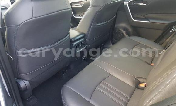 Buy Used Toyota RAV4 Other Car in Windhoek in Namibia Buy Used Toyota RAV4 Other Car in Windhoek in Namibia