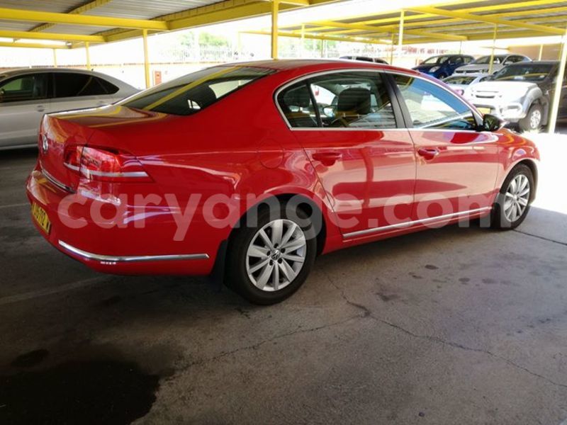 Big with watermark 15284065 1129442633839910 5230908860684797680 n