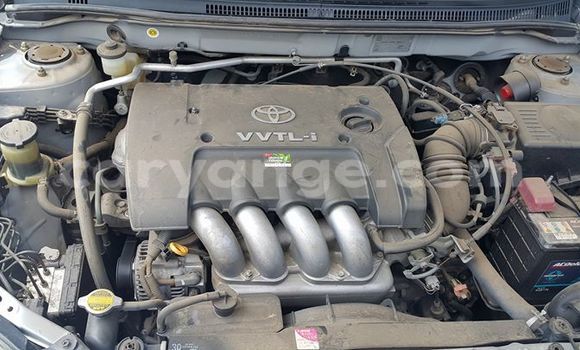 Acheter Occasion Voiture Toyota Runx Gris à Windhoek, Namibie Acheter Occasion Voiture Toyota Runx Gris à Windhoek, Namibie