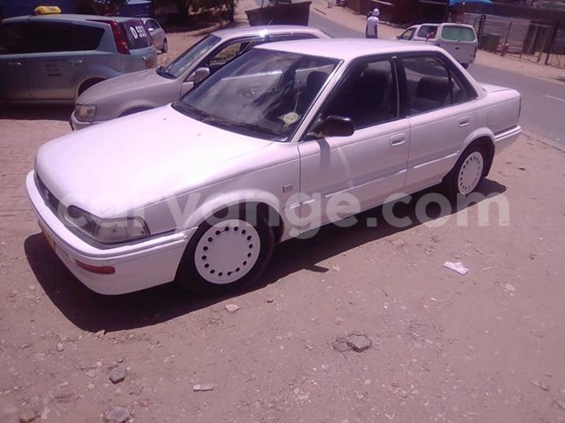 Big with watermark 15590123 1873629849587474 5620022596992670559 n