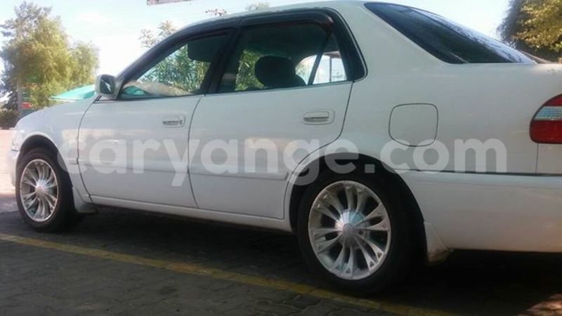 Big with watermark 15284065 1129442633839910 5230908860684797680 n