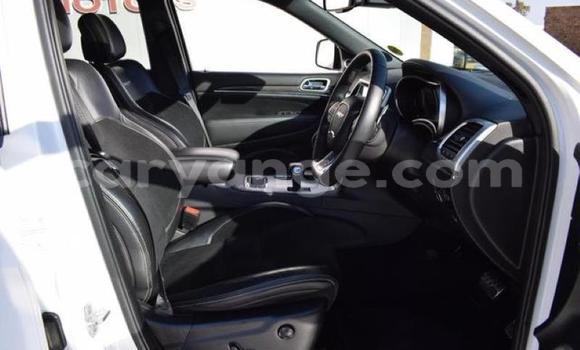 Acheter Occasion Voiture Jeep Grand Cherokee SRT8 Autre à Karasburg, Karas Acheter Occasion Voiture Jeep Grand Cherokee SRT8 Autre à Karasburg, Karas