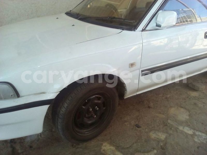 Big with watermark 15284065 1129442633839910 5230908860684797680 n