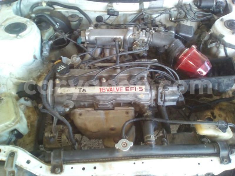 Big with watermark 15285033 1129442643839909 5134408343826197814 n