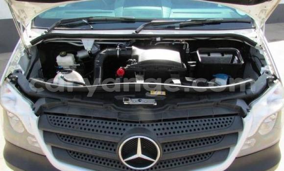 Buy Used Mercedes‒Benz Sprinter White Truck in Windhoek in Namibia Buy Used Mercedes‒Benz Sprinter White Truck in Windhoek in Namibia