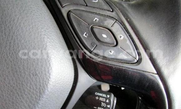 Acheter Occasion Voiture Toyota C-HR Blanc à Windhoek, Namibie Acheter Occasion Voiture Toyota C-HR Blanc à Windhoek, Namibie