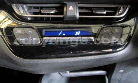 Acheter Occasion Voiture Toyota C-HR Blanc à Windhoek, Namibie Acheter Occasion Voiture Toyota C-HR Blanc à Windhoek, Namibie